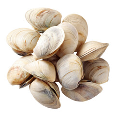 Pile of raw clams isolated on transparent png background