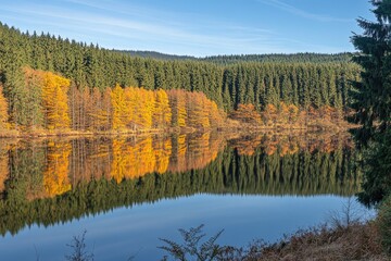Autumnal lake reflecting vibrant trees