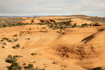 A sweeping view of sunlit sandstone terrain with erosion textures and scattered desert shrubs in a high desert region of southern Utah