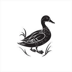 Duck Silhouette Clipart, Black Duck Outline on White Background
