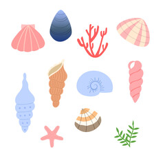 해양생물 조개 벡터 일러스트 모음