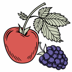 vector illustration of ripe berries