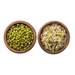 Mung beans, raw and sprouts isolated on transparent png background