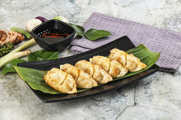 Japanese cuisine - stuffed dumplings gyoza
