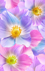Seamless floral  background. Flowers and  petals. Close up.
