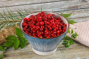 Natural organic wild forwst lingonberry