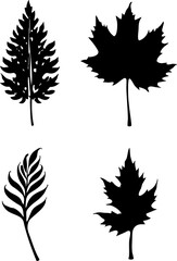 set of autumn leaves