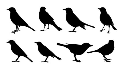 set of black bird silhouette vector on white background