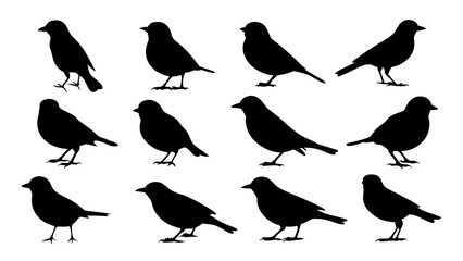 set of black bird silhouette vector on white background