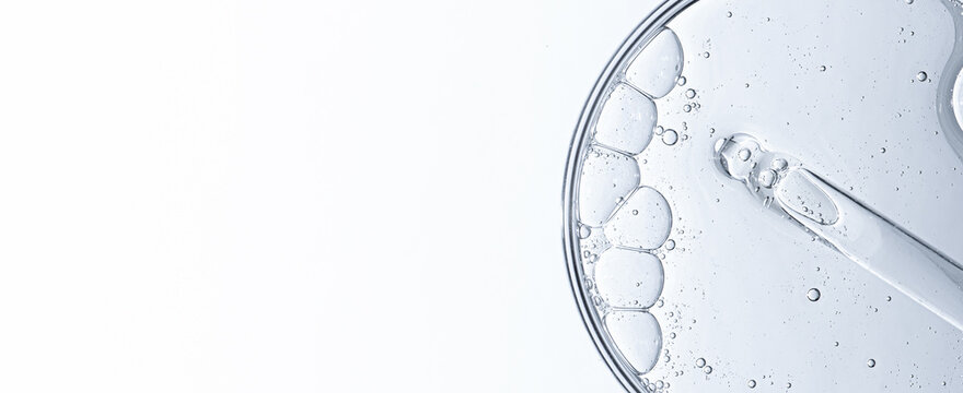 Cosmetic moisturizing gel or skin serum in a petri dish. Copy space