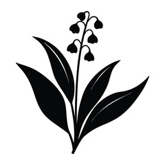 lily of the valley flower silhouette on white background.
