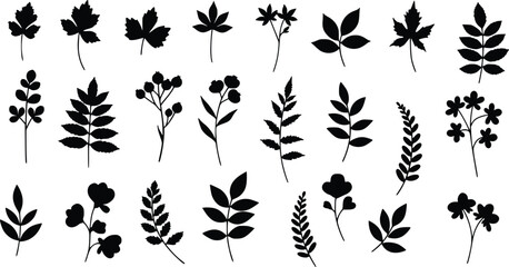 Silhouette illustration of 24 distinct botanical elements, including various leaves and flowers, isolated vector illustration 