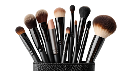 Black makeup brushes in a leather case professional beauty tools