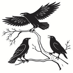 Obraz premium Black set of birds silhouette