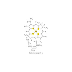 Bacteriochlorophyll a Molecular Structure – Chemical Diagram of Photosynthetic Pigment with Porphyrin Ring and Phytol Tail, Labeled Organic Chemistry Illustration