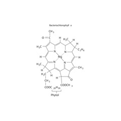 Bacteriochlorophyll a Molecular Structure – Chemical Diagram of Photosynthetic Pigment with Porphyrin Ring and Phytol Tail, Labeled Organic Chemistry Illustration
