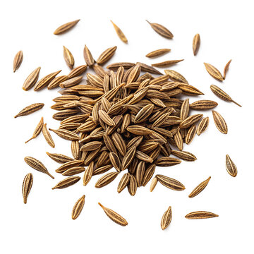cumin seed spice on a solid white background.png