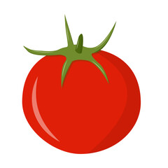 Tomato fresh vegetable vector isolate on white background healthy diet green food for graphic design, logo, web site, social media, mobile app, ui illustration