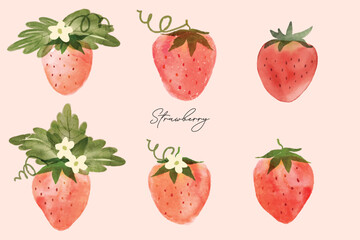 Set of trawberry watercolor art background with flower and leaves. Sweet strawberry in frame. 