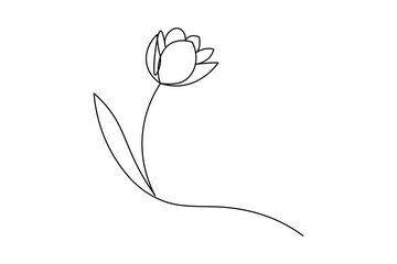 Tulip flower continuous one line drawing and minimalist style isolate outline vector icon