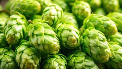 Fototapeta premium Fresh green beer hop cones in close-up detail with intricate details and textures, fresh beer hops, fermentation process