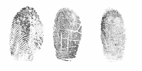 Vector black fingerprint on white  background.