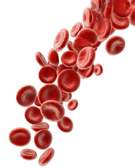 Red blood cells flowing in bloodstream microscopic view