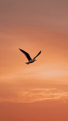 Fototapeta premium Seagull Flying Against Orange Sunset Sky, Silhouette of a seagull soaring through a vivid orange sky at sunset, symbolizing freedom, peace, and nature's beauty.