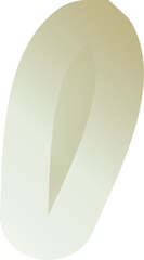 Essential Abstract Shapes Bundle with Borders – Scalable Assets for Creative Design Use