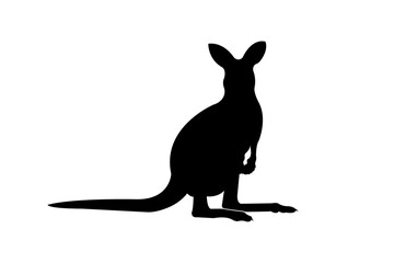 Kangaroo Silhouette on Transparent Background