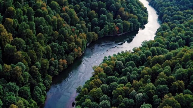 Urban nightlife transitions to serene nature: city lights, dew on leaves, and scenic riverbend