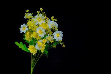 Beautiful artificial daisy flowers on black background, isolated synthetic daisy flowers in black for advertising space.