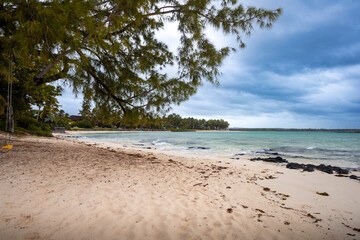 tropical beach with palm trees view of Mauritius island