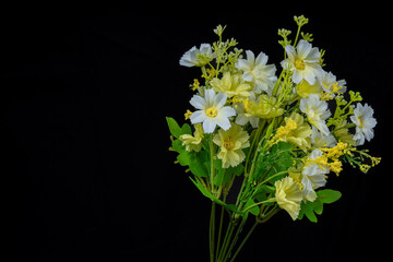 Beautiful artificial daisy flowers on black background, isolated synthetic daisy flowers in black for advertising space.