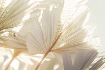 Close-up view of delicate, light cream palm fronds.