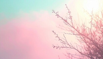 Fototapeta premium Spring blossoms in a serene atmosphere nature scene soft colors tranquil environment close-up view beauty of renewal