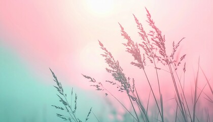 Obraz premium Gentle breezes in vibrant fields nature photography soft light environment serene viewpoint dreamlike atmosphere