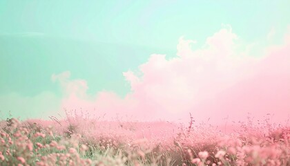 Obraz na płótnie Canvas Serene landscape view of colorful wildflowers under soft cloudy sky in tranquil nature environment