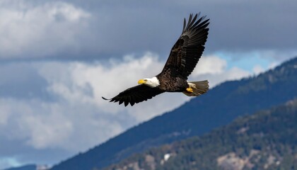 Obraz premium Majestic eagle soaring over mountainous landscape nature photography cloudy sky aerial view wildlife conservation