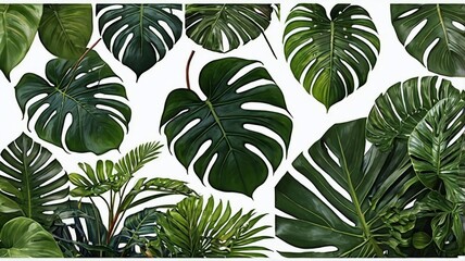 Green leaves of tropical plants bush (Monstera, palm, rubber plant, pine, bird&rsquo;s nest fern) floral arrangement indoors garden nature backdrop isolated on white background, clipping path.