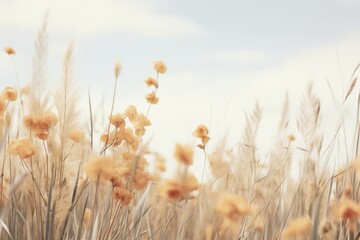 Obraz premium Serene meadow landscape with yellow flowers gently swaying against a soft sky, capturing the delicate essence of nature in perfect harmony.