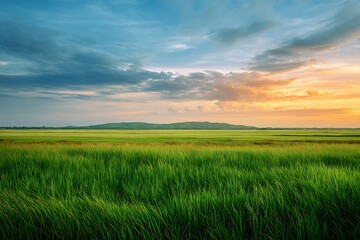 Obraz premium Serene Sunset over Lush Green Grassland and Distant Hill