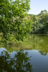 Shenzhen International Garden and Flower Expo Park in Shenzhen, China.