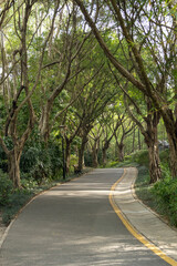 Shenzhen International Garden and Flower Expo Park in Shenzhen, China.