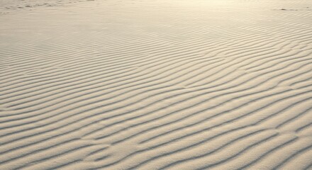 Obraz premium Sand Dune Texture with Ripples and Shadows in Desert Landscape