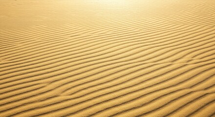 Fototapeta premium Sand Dune Texture Forming Lines in Desert Landscape