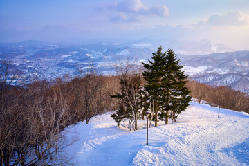 View of Moiwa mountain hill with trees on sun light while sunset skyline.