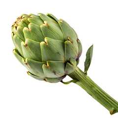 Obraz premium Artichoke isolated on a transparent background