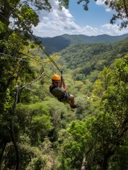 Zoom through treetop heights on a jungle zip wire, enjoying lush views and wild encounters.