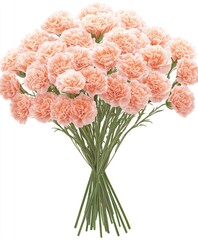 A bouquet of many pale peach carnations.  A bunch of delicate, light peach-colored flowers with numerous petals.  Stems and leaves are visible